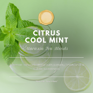 Cool Citrus Mint - The Village Retail