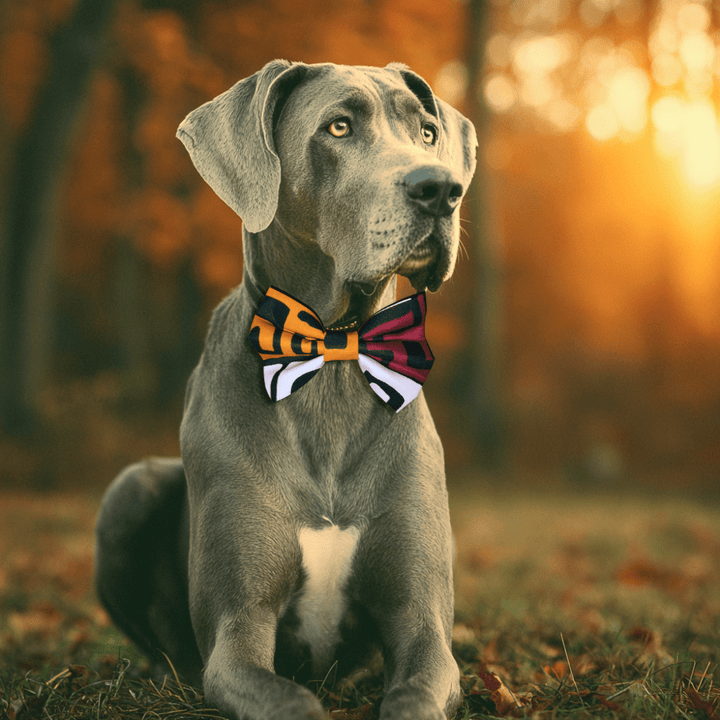 Ancestors Speak Dog Bowtie - Butterscotch/Wine - The Village Retail