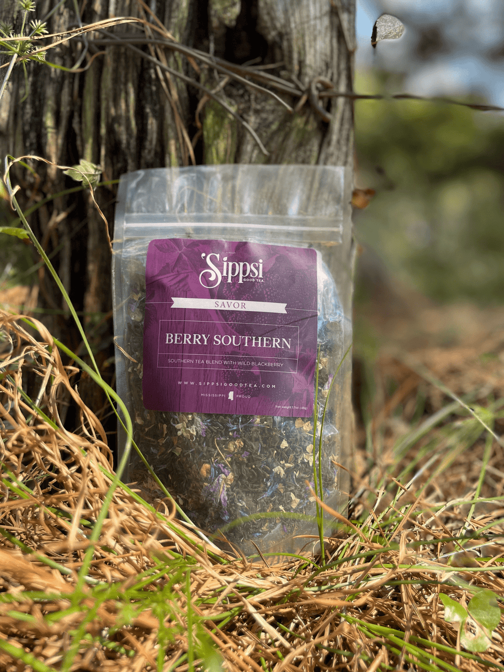 Berry Southern WIld Blackberry Black Tea - The Village Retail