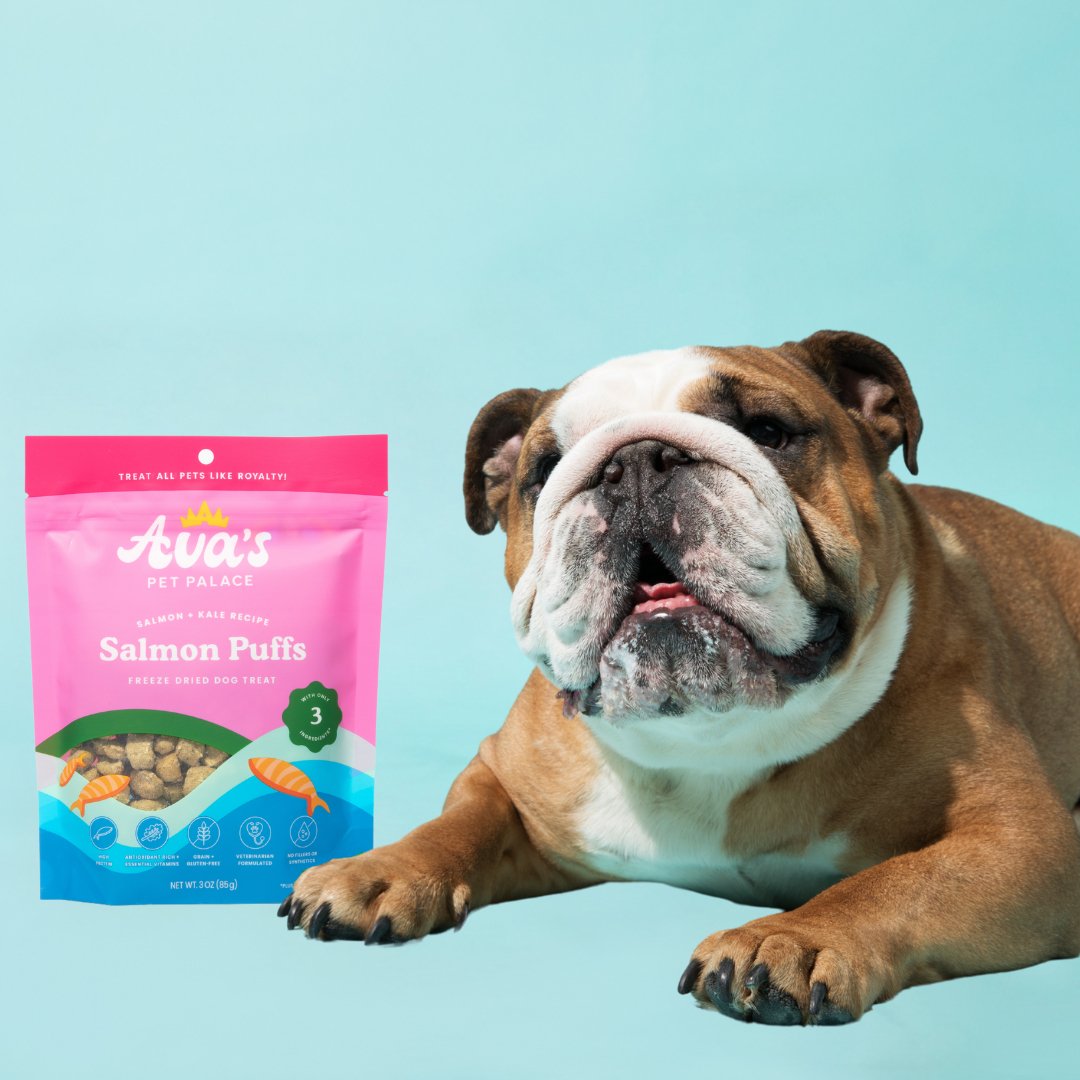 Freeze Dried Dog Treats - Salmon Puffs - The Village Retail