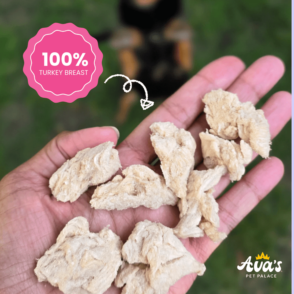 Freeze Dried T - Day Bites - Turkey Breast - The Village Retail