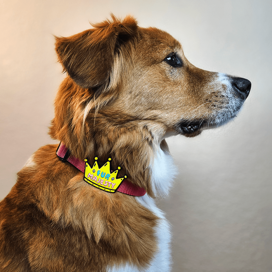 Fur Majesty Dog Jiby - The Village Retail