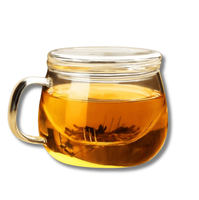 Glass Mug with Infuser & Lid - The Village Retail