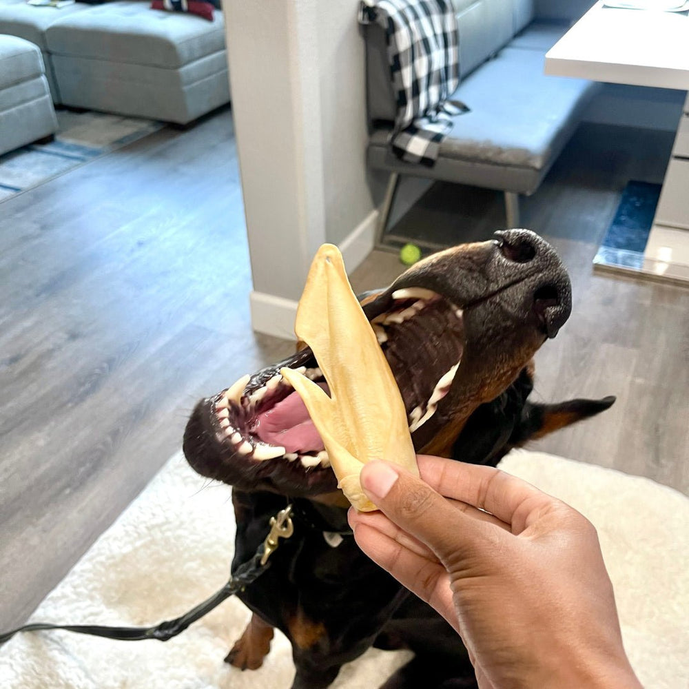 Natural Dog Chews - Lamb Ears - The Village Retail