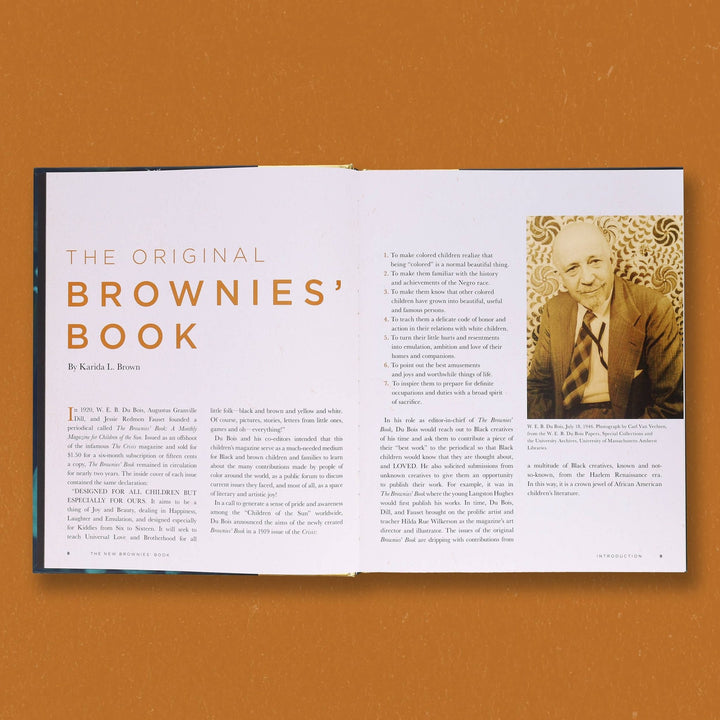 New Brownies' Book - The Village Retail