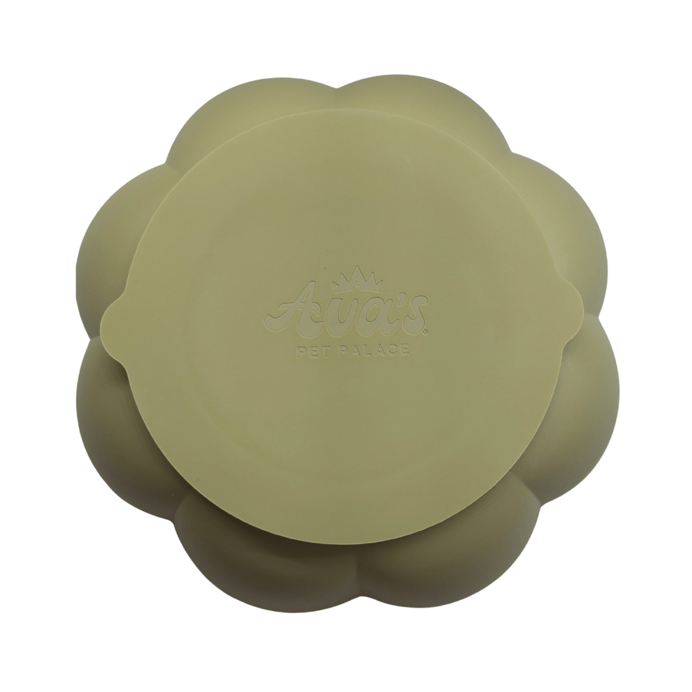 Rose SlowMo slow feeder - The Village Retail