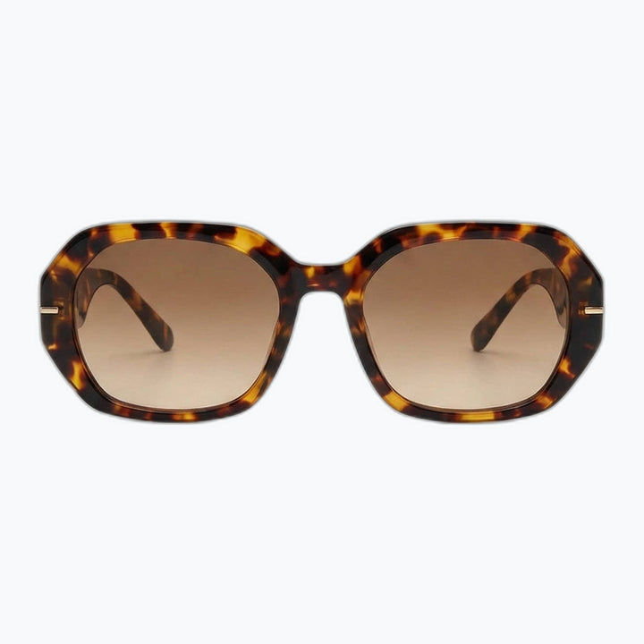 Front view of tortoiseshell Regent oversized square sunglasses with brown gradient lenses and gold-tone accents.