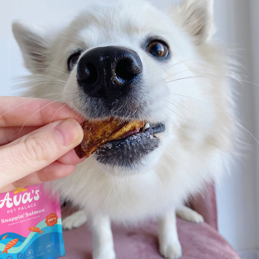 Crunchy Jerky Dog Treats- Snappin' Salmon - The Village Retail